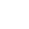 FB icon