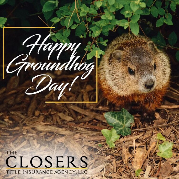 Happy Ground hog day