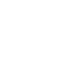 IG icon